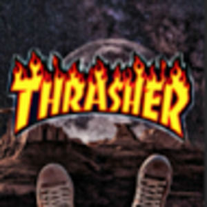 Meet your Posher, Sammy